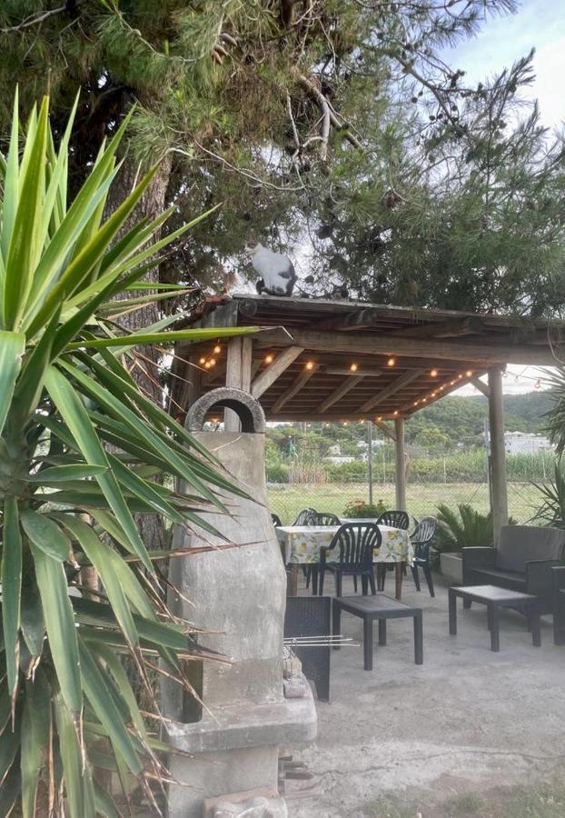 Tosk House 2 Daire Peschici Dış mekan fotoğraf