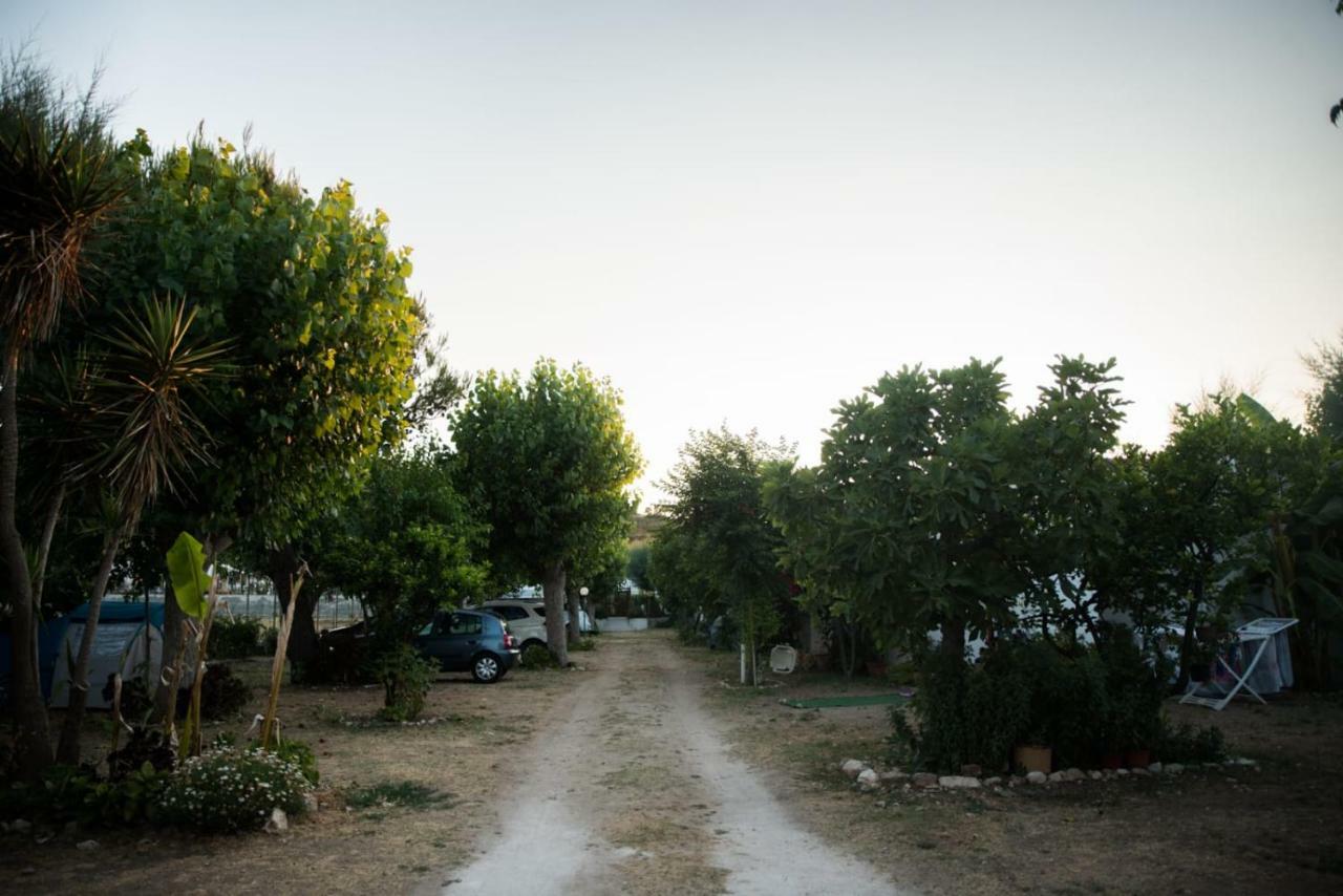Tosk House 2 Daire Peschici Dış mekan fotoğraf